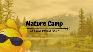 Nature Camp