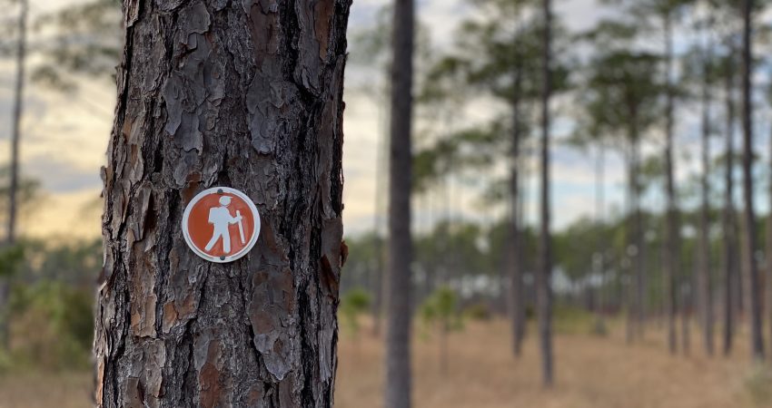 Patsy Pond Trail